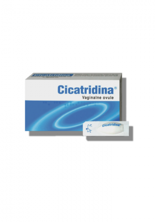 Cicatridina ovule
